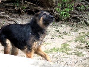 k-friesenheimerstrand1 093.jpg