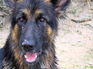 k-friesenheimerstrand1 091.jpg