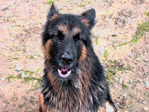 k-friesenheimerstrand1 090.jpg