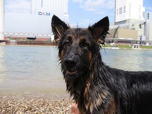 k-Rheinaltrip11 Juli 2010 005.jpg