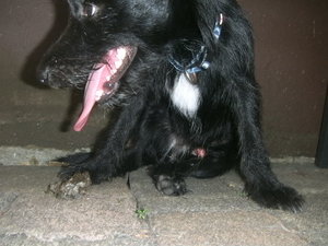 Lucky.warm.JPG Lucky.warm.JPG