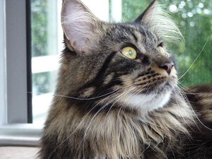 16.07.10 025.JPG 16.07.10 025.JPG