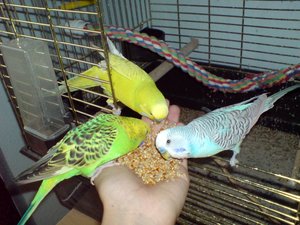 Pics vom Handy 483.jpg