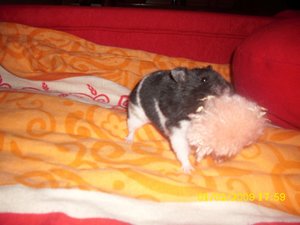 Kamerabilder 018.jpg