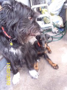 tyson und aika 020.jpg