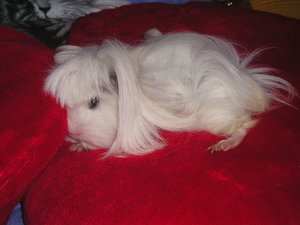 Tommy&MArie (639).JPG