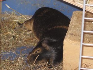 Bilder vom Handy 205.jpg