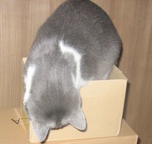 Merlin und Mogli 061...jpg