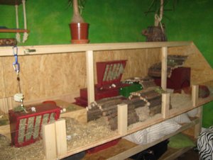 Bild 313 - gedrittelt.JPG