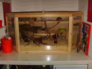 SSL20205.JPG SSL20205.JPG