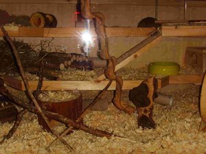 SSL20206.JPG SSL20206.JPG