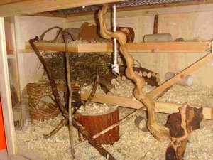 SSL20208.JPG SSL20208.JPG