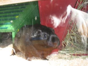 Bild 403 - verkleinert.JPG