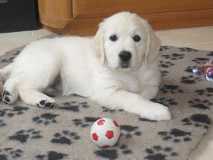 IMG_0705 - Kopie.JPG