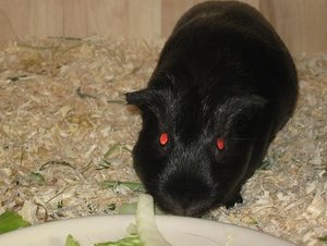 Bild 050 verkleinert.JPG