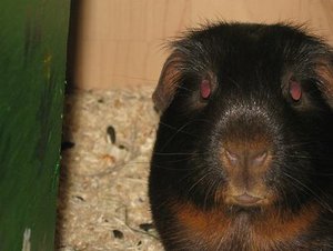 Bild 106 verkleinert.JPG