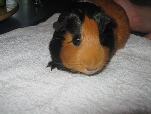 IMG_1344 verkleinert.JPG