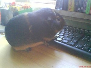 Bilder vom Handy 027.jpg