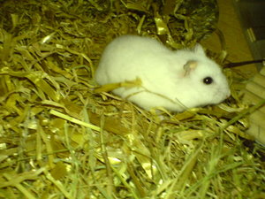 Pics vom Handy 161.jpg