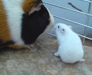 Pics vom Handy 230.jpg