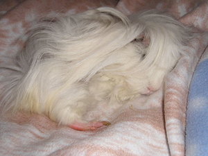 Tommy&MArie (175).JPG