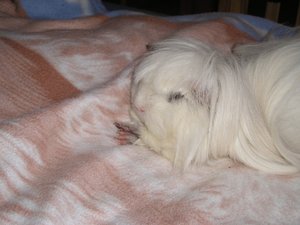 Tommy&MArie (174).JPG