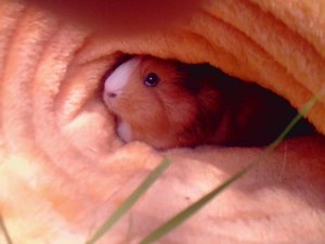 P240510_14.24.jpg P240510_14.24.jpg