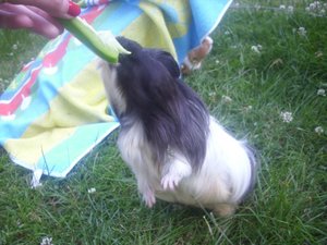 DSCI1129.JPG DSCI1129.JPG