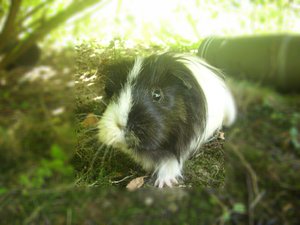 Kamerabilder 001.jpg