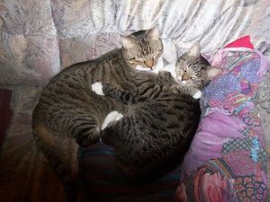 Aaron & Umberto 1.JPG