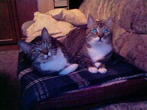 Aaron & Umberto 2.jpg