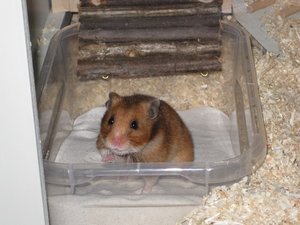 willste was, ist meins.JPG