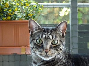 16.07.10 022.JPG 16.07.10 022.JPG