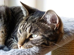 19.10.09 123.JPG 19.10.09 123.JPG