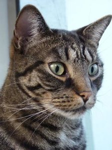 fotos 22-09 3.JPG fotos 22-09 3.JPG