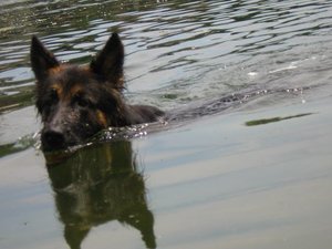 k-friesenheimerstrand1 018.jpg