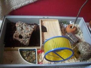 DSCI0288.JPG DSCI0288.JPG