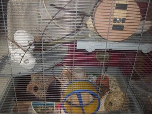 DSCI0290.JPG DSCI0290.JPG