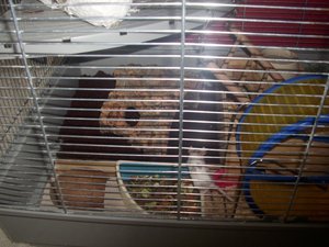 DSCI0292.JPG DSCI0292.JPG