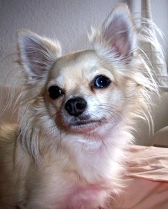 portrait.JPG portrait.JPG