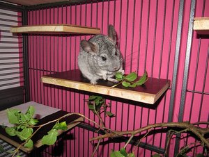 domina beim mampfen.jpg