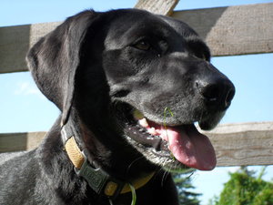 SDC17501.JPG SDC17501.JPG