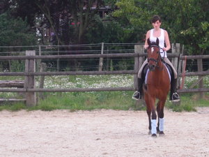 maaaaaaaaaaartini D 019.JPG