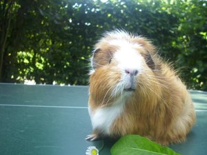 Kamerabilder 086.jpg Kamerabilder 086.jpg