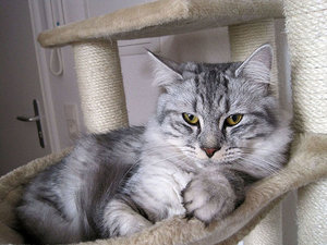 Nero Wettbewerb_klein.jpg