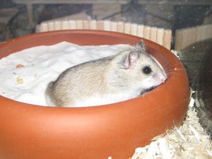 Hiro Mein Sandbad, bunker und klo.JPG