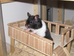 j.d. mein balkon.JPG