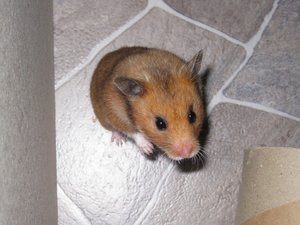 Abby wer bist du.JPG