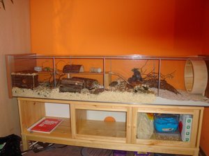 DSC01686.JPG DSC01686.JPG