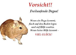 Degu warnung.JPG